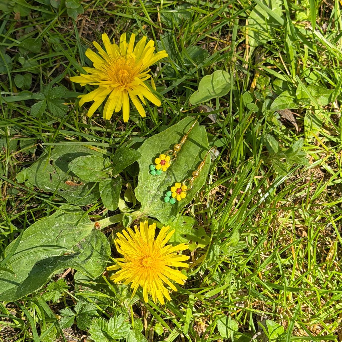 Somriga Solros Örhängen